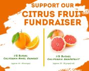 Orchestra Citrus Fruit Fundraiser
